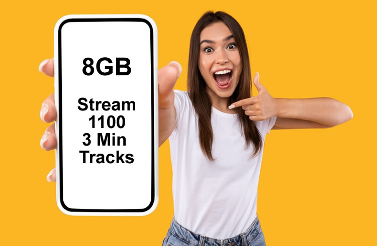 8GB Data how much is it