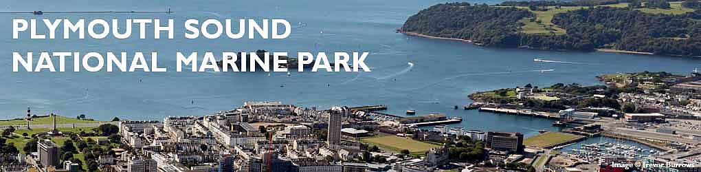 Plymouth sound