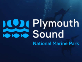 Vodafone provides world’s first 5G marine testbed in Plymouth